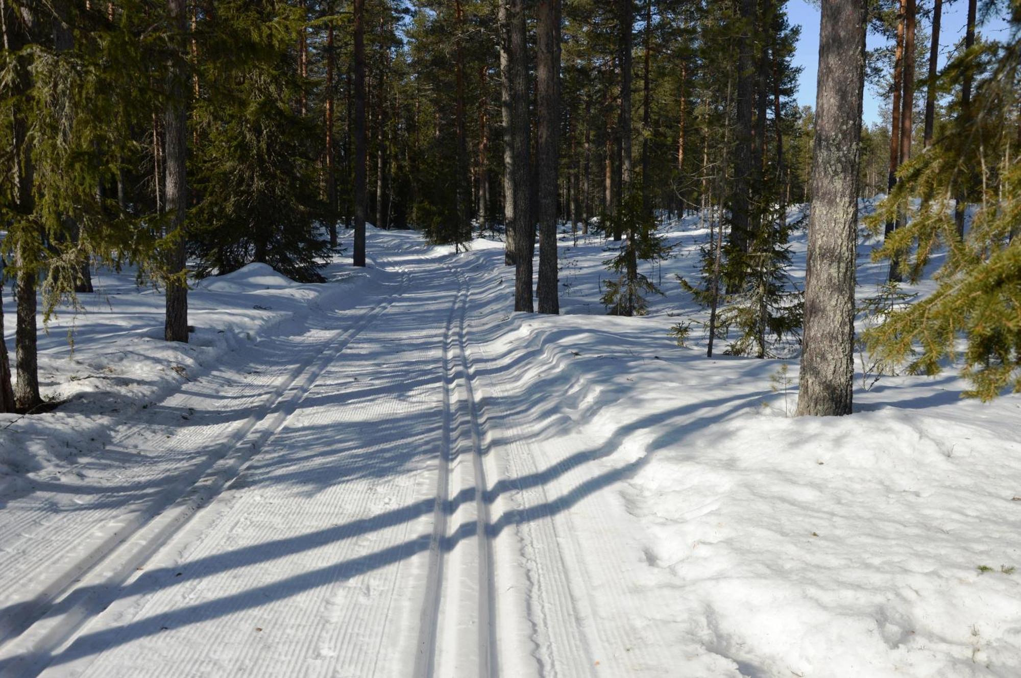 Hytte Anno 1721 Uten Internett, Strom, Vann - Men Med Rodmalt Utedo Ljørdal Екстериор снимка