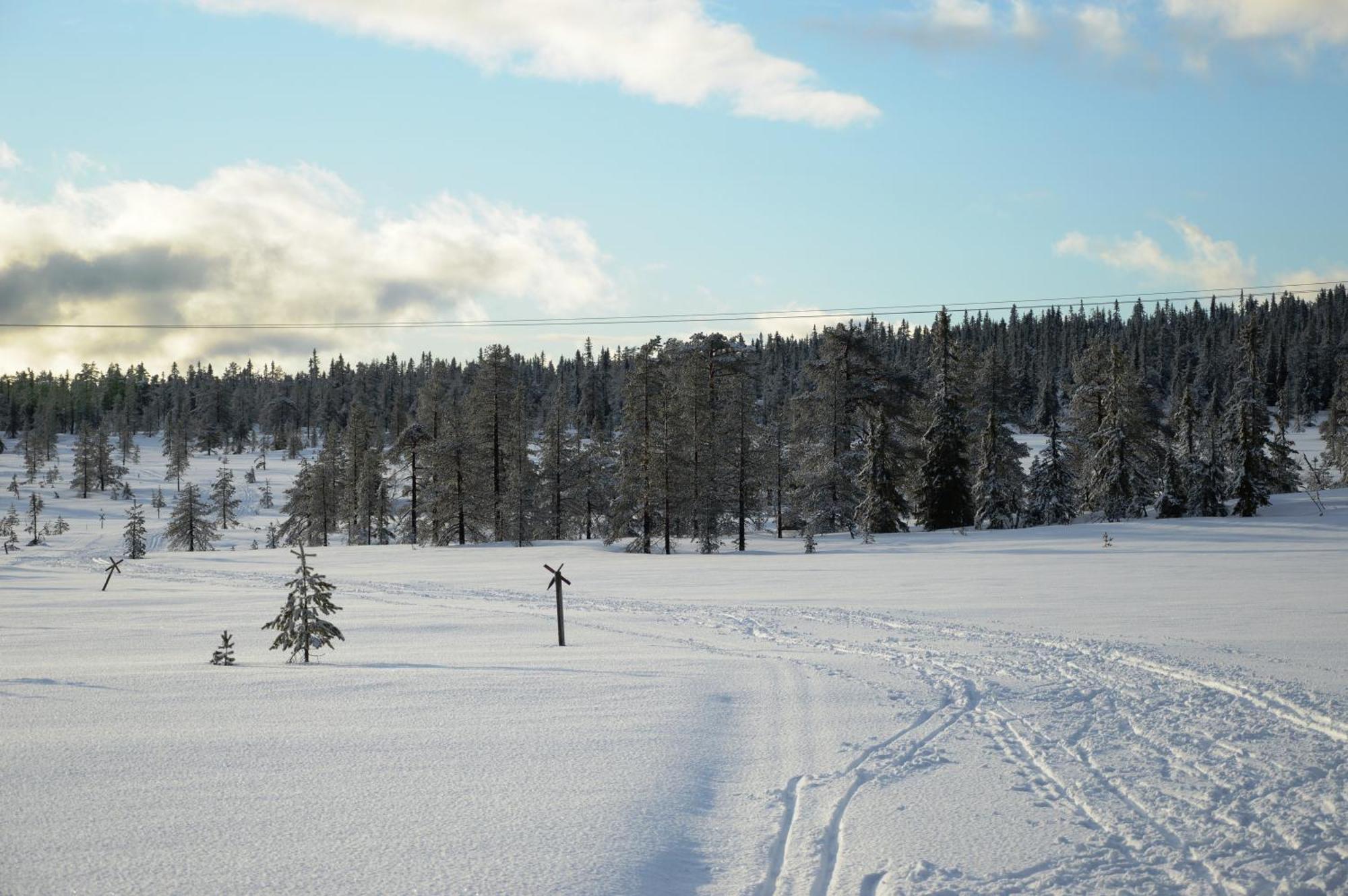 Hytte Anno 1721 Uten Internett, Strom, Vann - Men Med Rodmalt Utedo Ljørdal Екстериор снимка