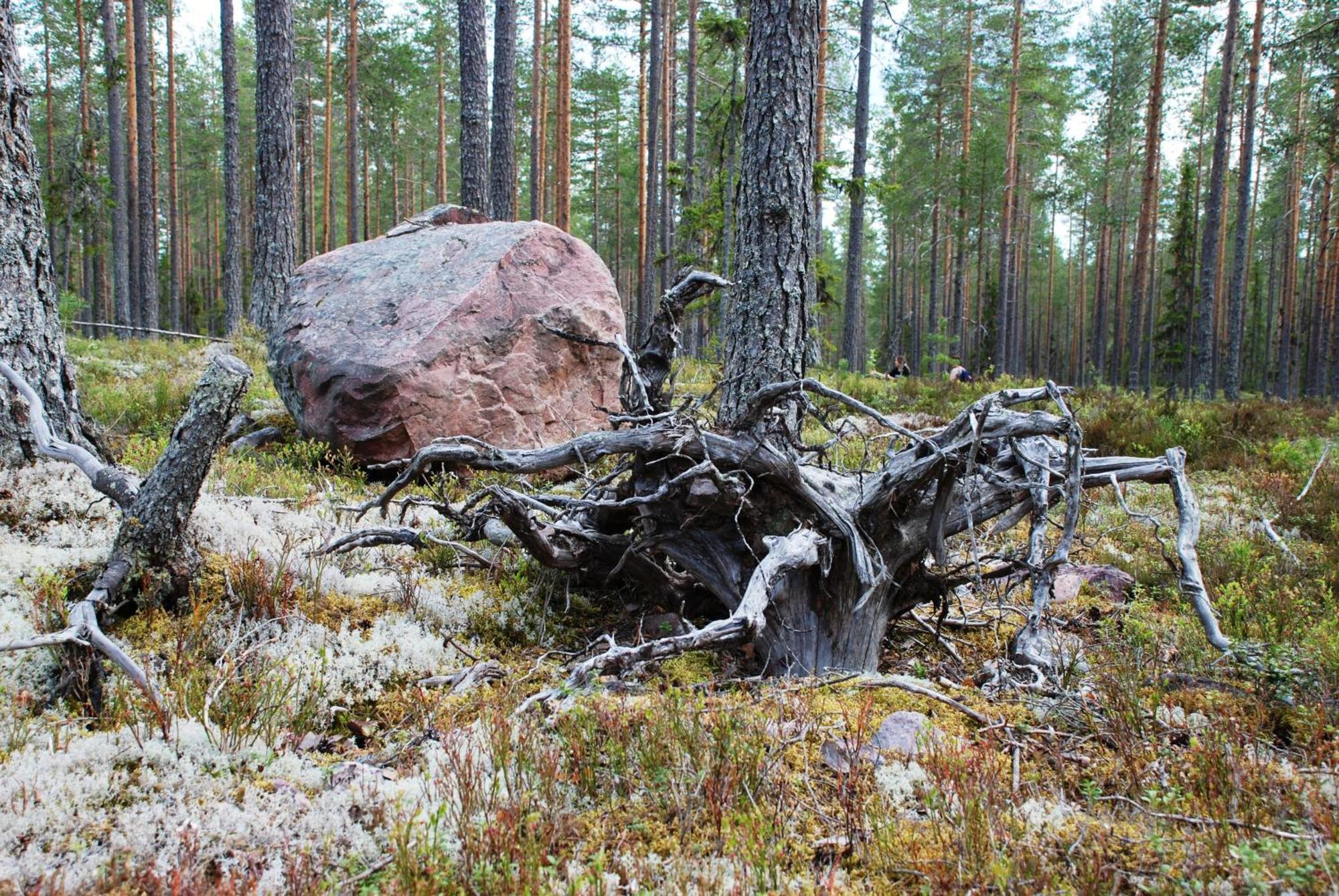 Hytte Anno 1721 Uten Internett, Strom, Vann - Men Med Rodmalt Utedo Ljørdal Екстериор снимка