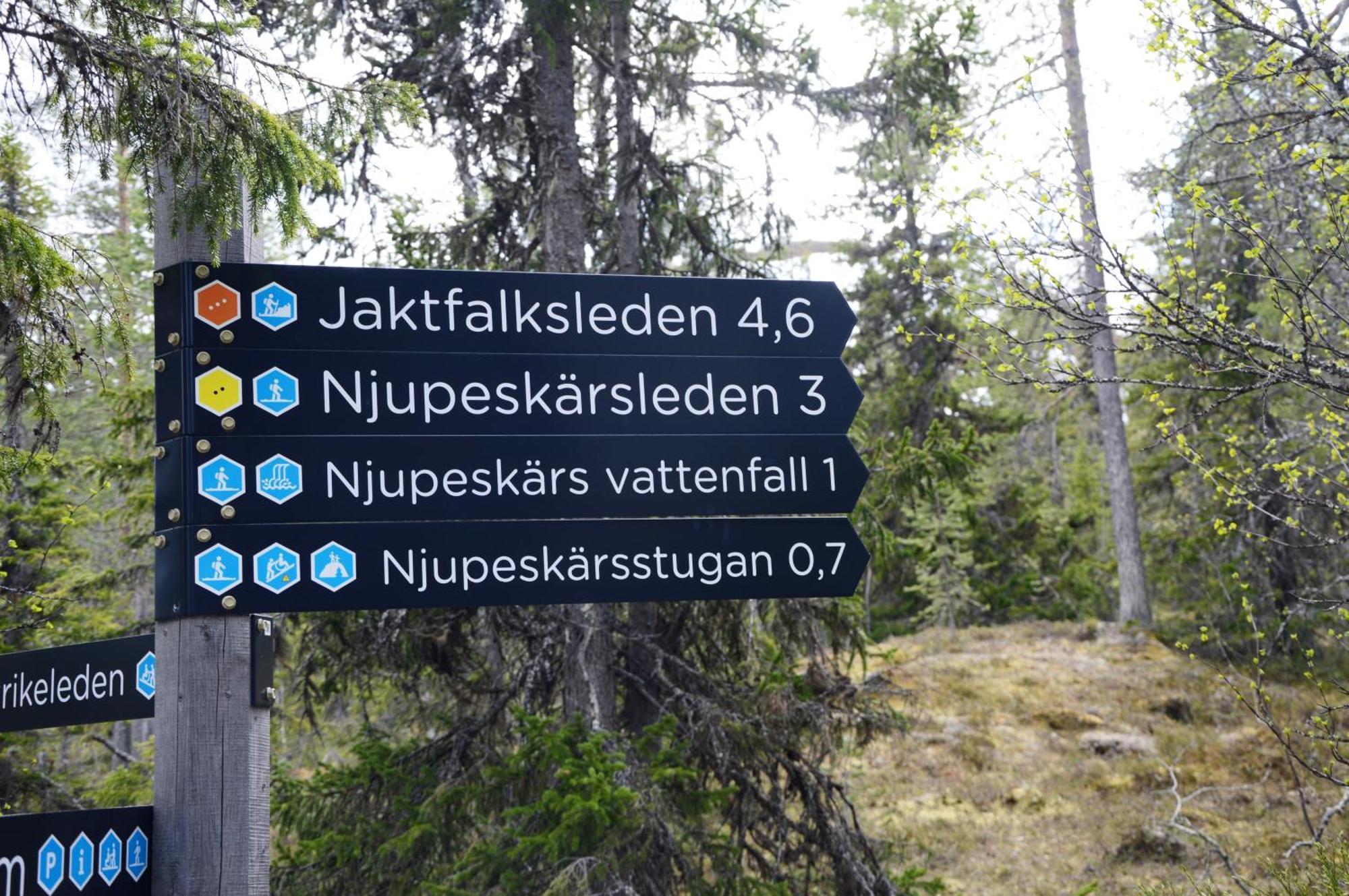 Hytte Anno 1721 Uten Internett, Strom, Vann - Men Med Rodmalt Utedo Ljørdal Екстериор снимка